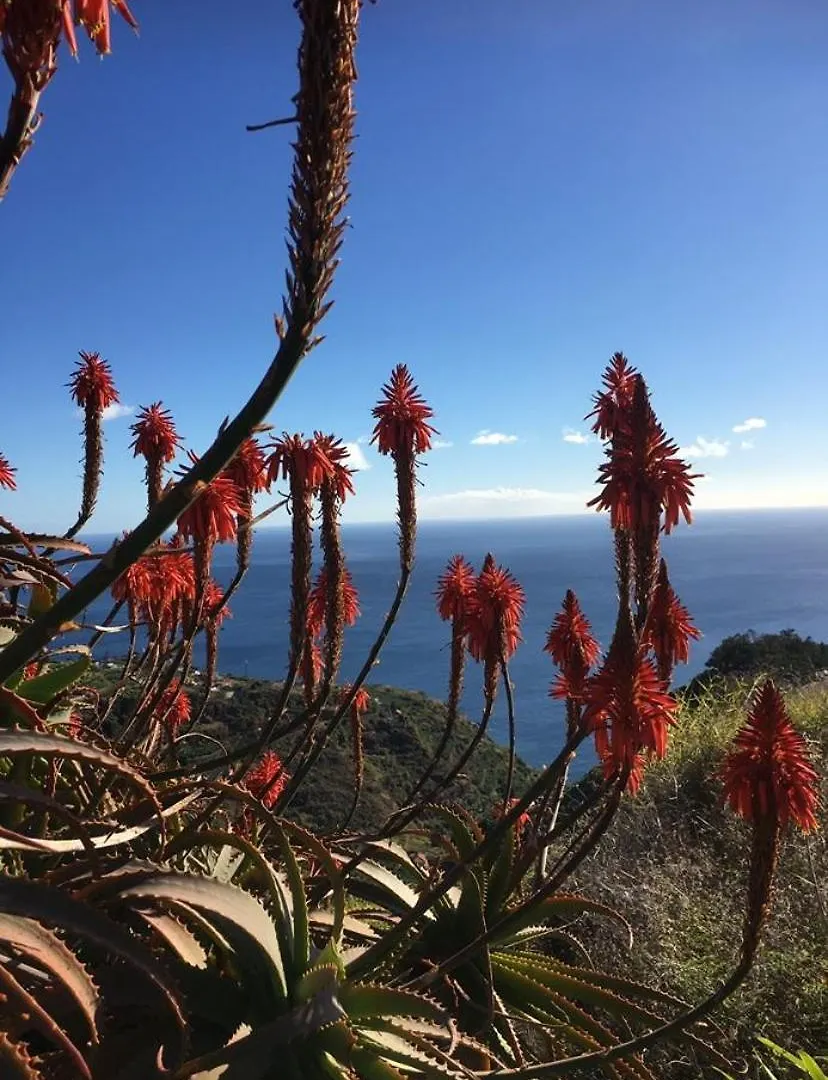 Pico Paraiso Madeira 폰타도솔 홈스테이
