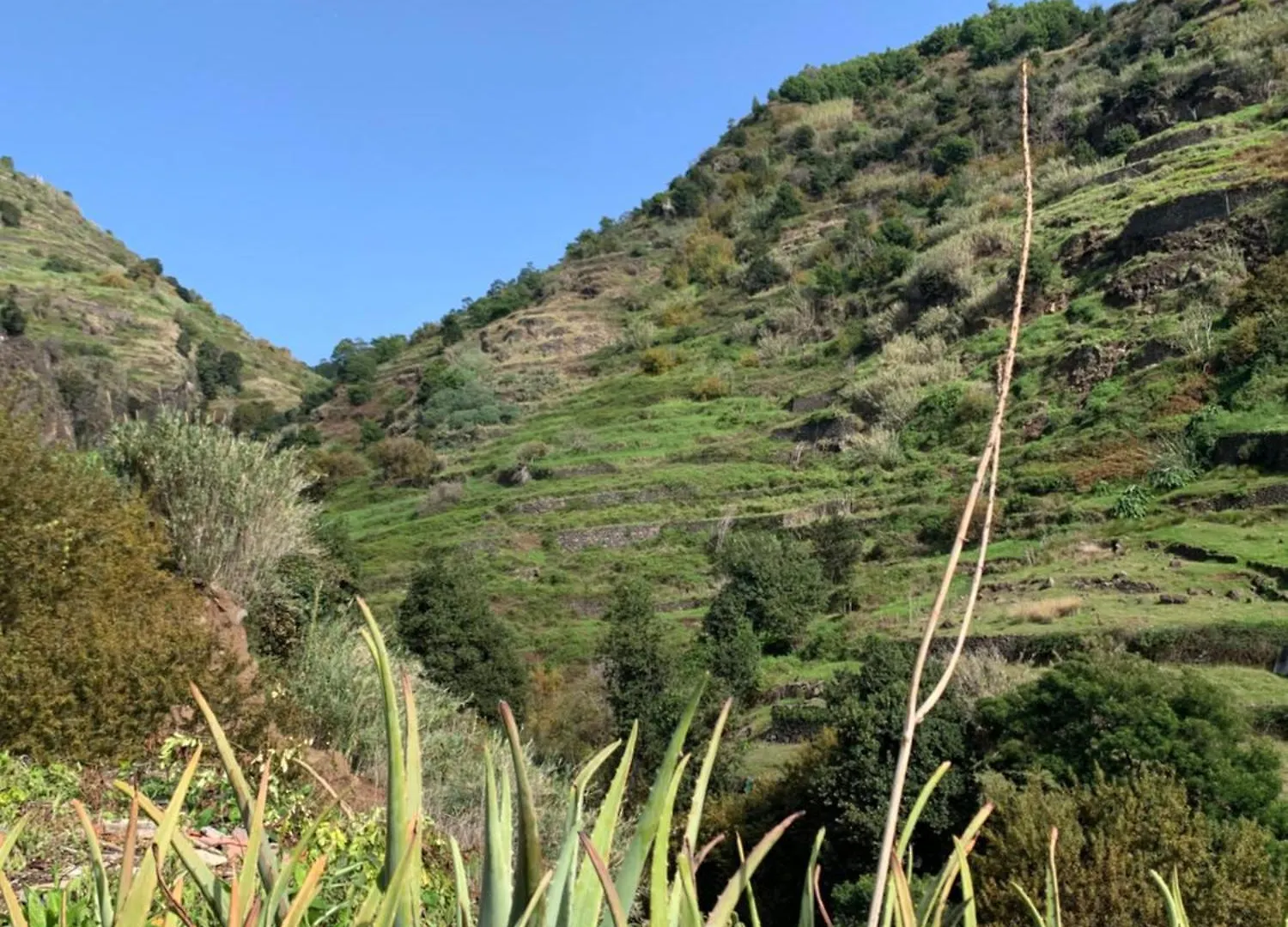 Pico Paraiso Madeira 폰타도솔