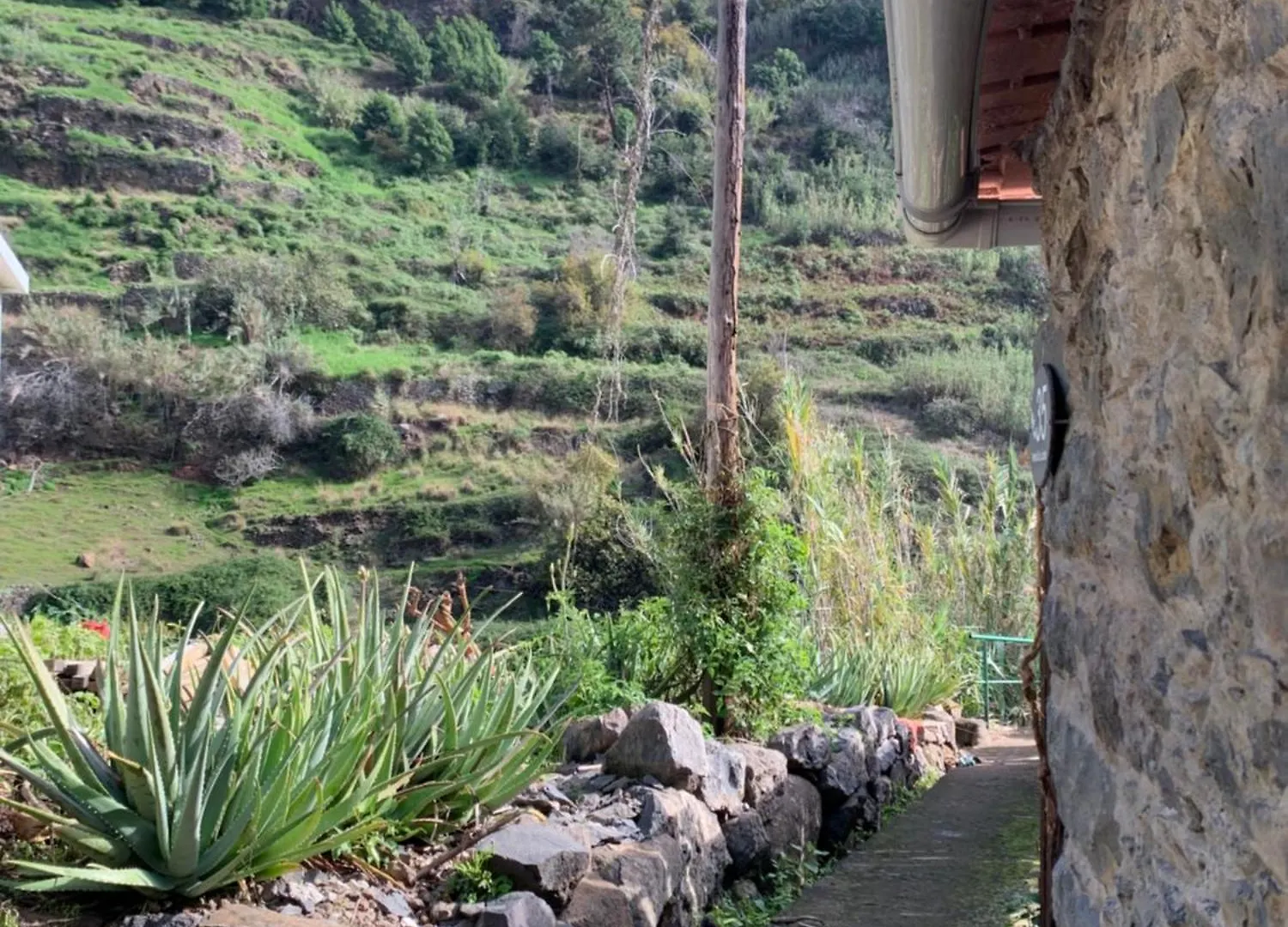 홈스테이 Pico Paraiso Madeira 폰타도솔