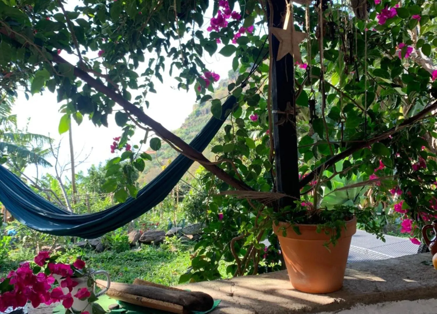 פונטה דו סול Pico Paraiso Madeira בית אירוח פונטה דו סול