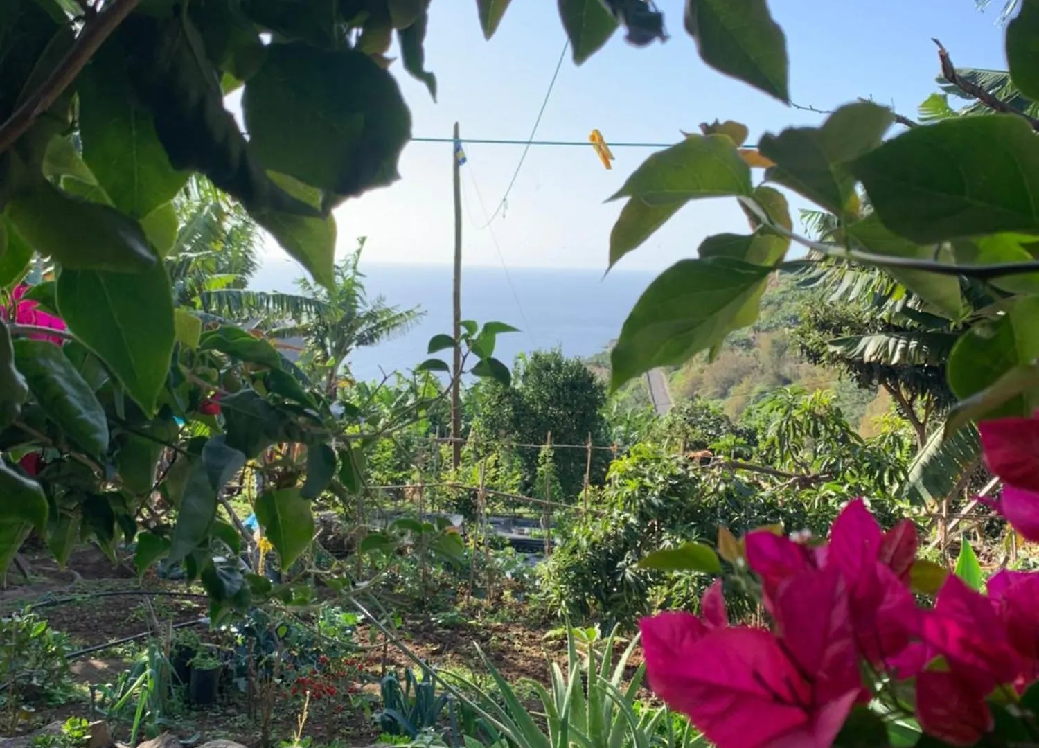 Pico Paraiso Madeira 폰타도솔