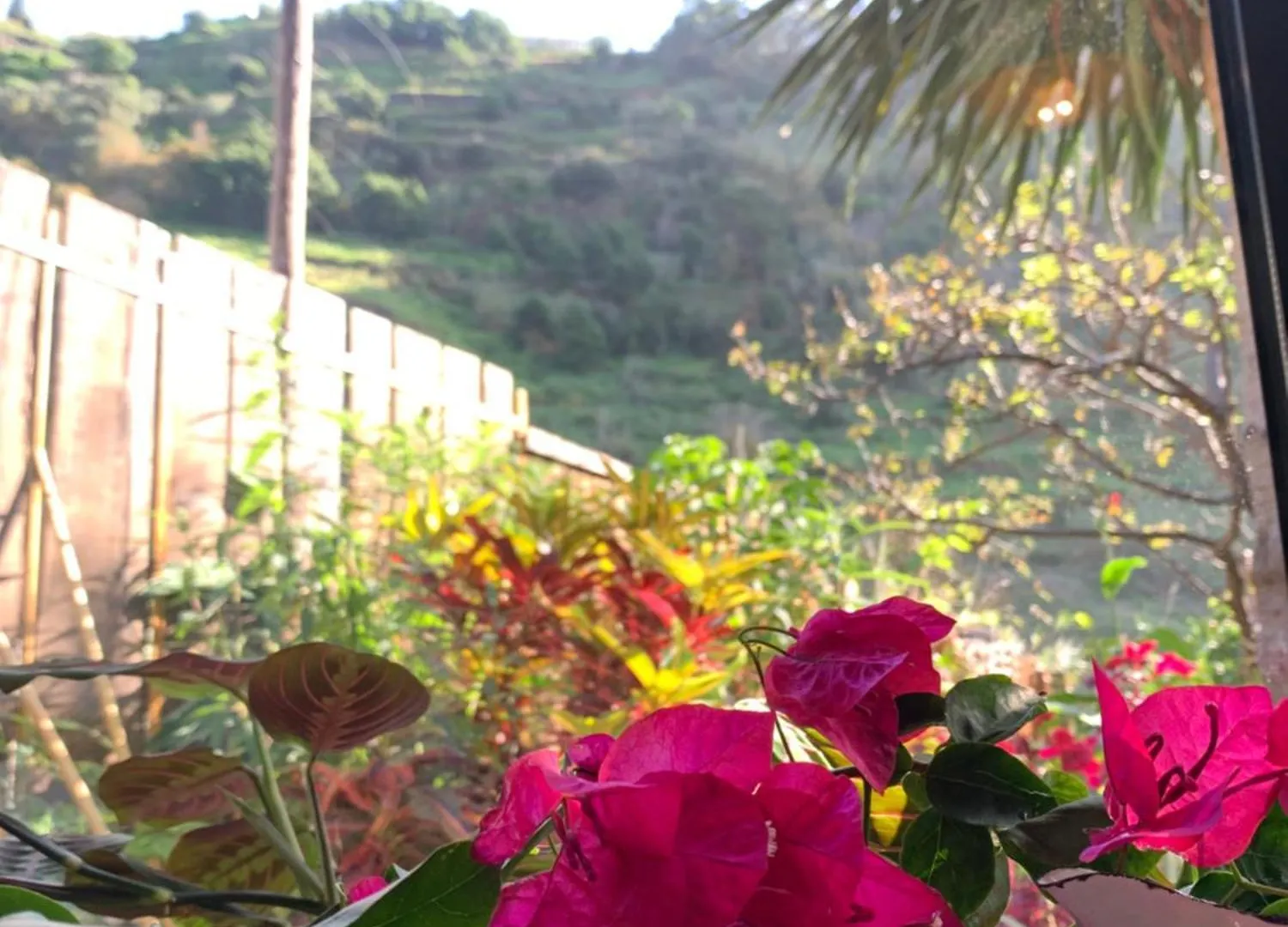 Pico Paraiso Madeira 폰타도솔 포르투갈