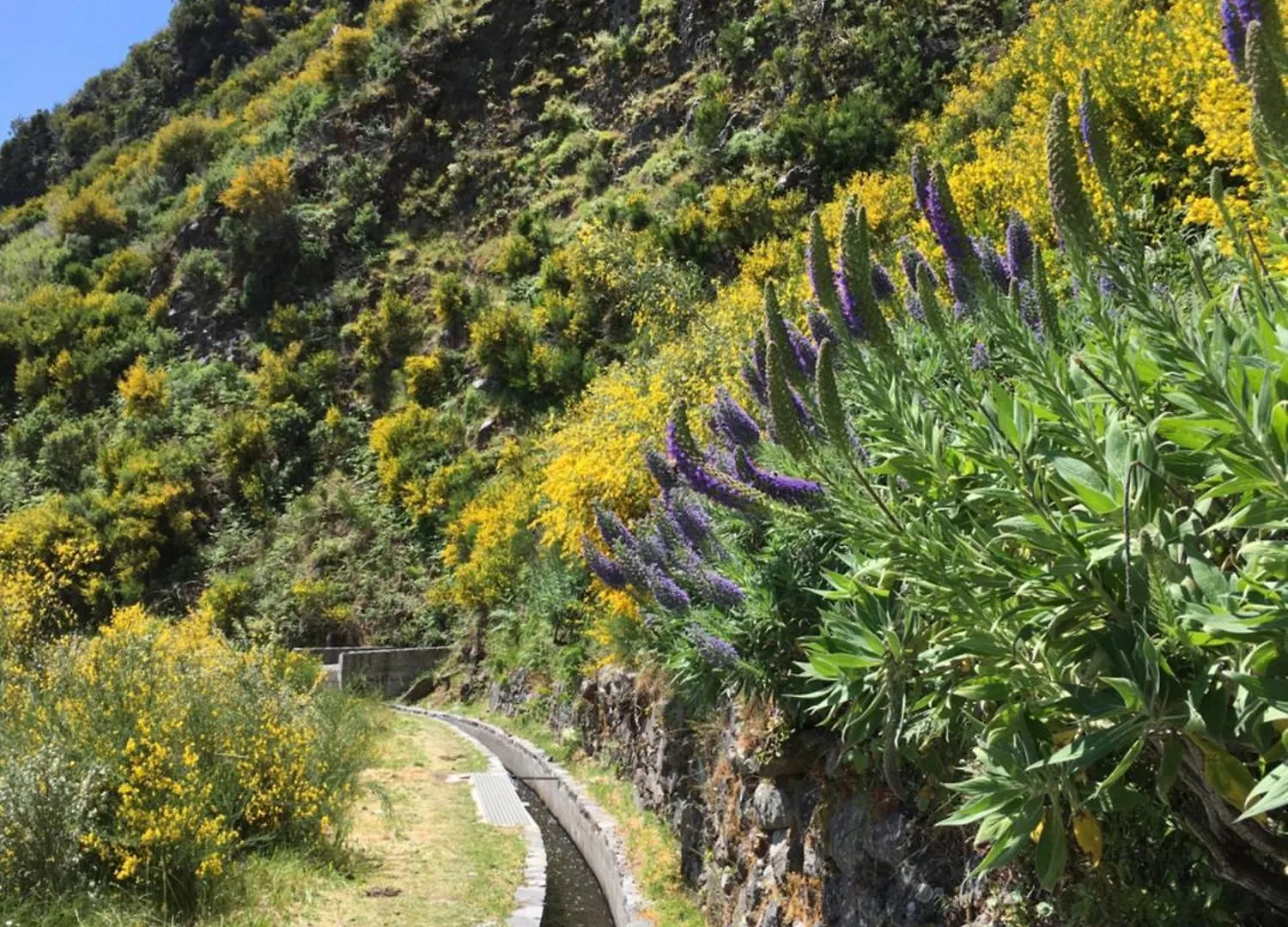 Privat bolig Pico Paraiso Madeira Ponta do Sol